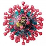 Первопричины возникновения коронавируса