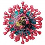Будущее коронавируса